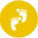 梦幻舍利子
