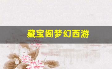 梦幻西游 私服：藏宝阁梦幻西游 (9)