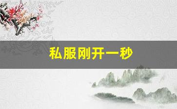 梦幻西游藏宝阁：私服刚开一秒(新开一秒传