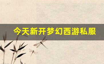 梦幻西游私服：今天新开梦幻西游私服(梦幻